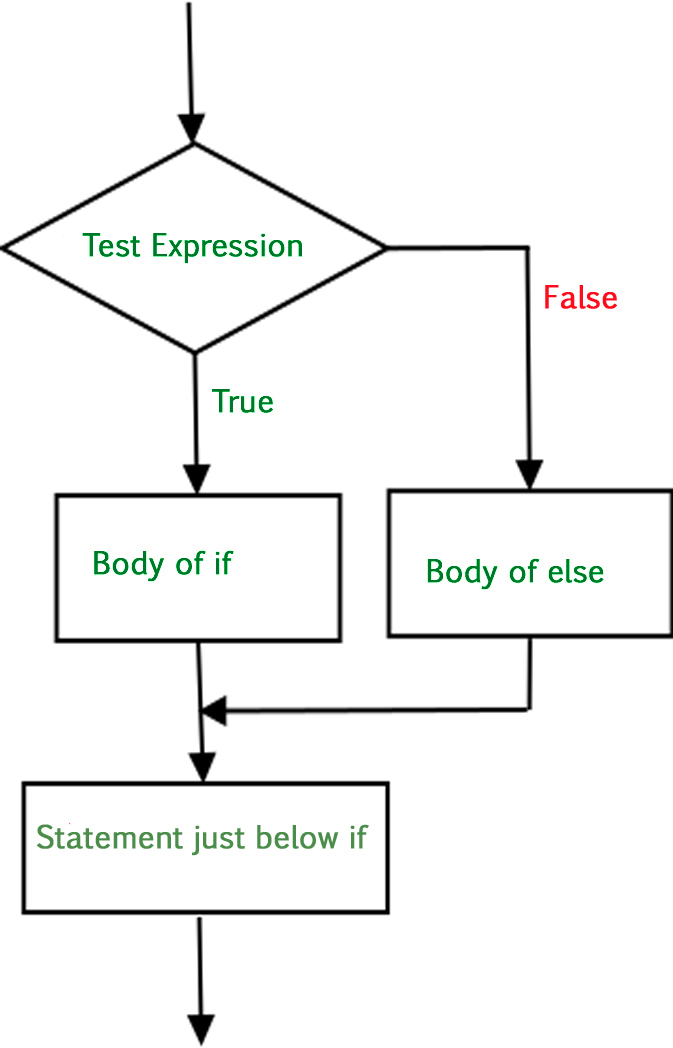 if-else-statement-in-Python